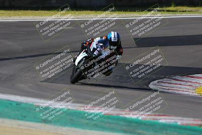 media/Mar-17-2024-Fastrack Riders (Sun) [[c7d6f8c14c]]/Level 1/Turn 6/